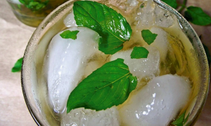 Mint Julep